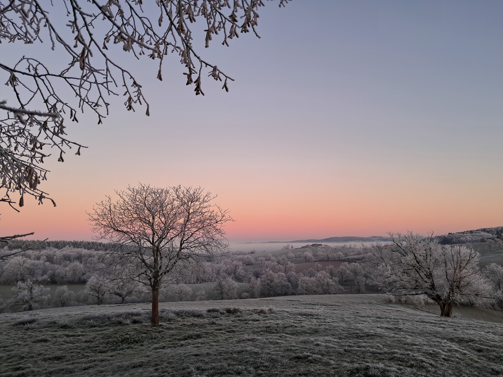Paysage Allier